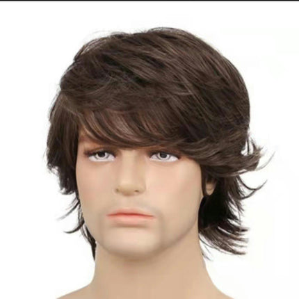 Synthetic Wigs with Bangs Wigs for Men Short Curly Fluffy Cosplay  Wig Layered