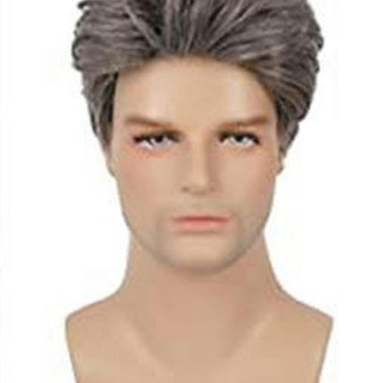 Short Wig Curly Mens Wigs with Bangs Synthetic Hair Natural Wigs for Men Daily Hair Wig