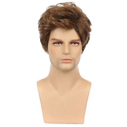 Wigs for Men Short Wavy Wig Men Synthetic Wig Natural Hair Wig Daily Wear Curly Hair Wig