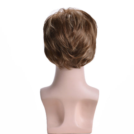 Short Straight Synthetic Wigs with Bangs for Men Short Men's Wigs Natural Heat Resistant Synthetic Hair