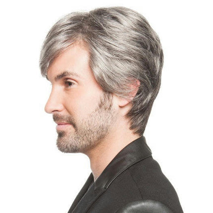 Short Men's Wigs Natural Synthetic Hair Short Straight Synthetic Wigs with Bangs for Men