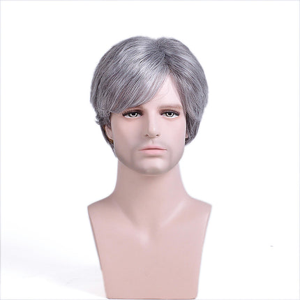 Short Men's Wigs Natural Synthetic Hair Short Straight Synthetic Wigs with Bangs for Men