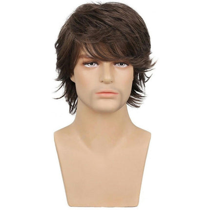 Brown Wigs for Men Short Curly Fluffy Cosplay Wig Layered Curly Wig Synthetic Wigs with Bangs