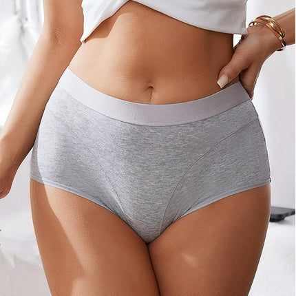 Women's Underwear Mid Waist Stretch Briefs Soft Underpant