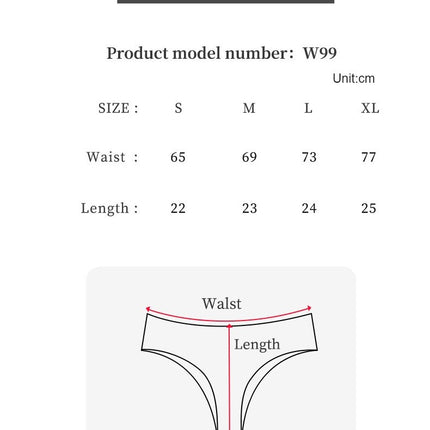 Women's Sexy Lace Underwear Hipster See Through Panties Pack of 3