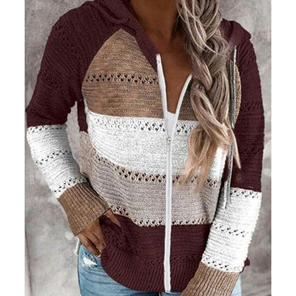 Women's Zipper Open Chest Hooded Knit Jacket Colorblocked Hollow Out Knit Cardigan