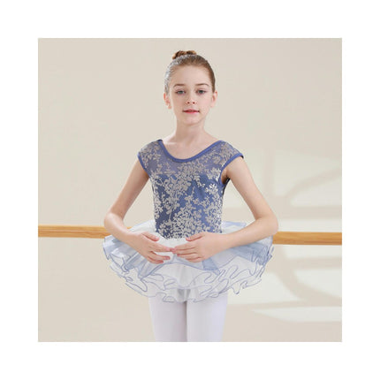 Big Kids Round Neck Jacquard Can Sleeve Dancewear Ballet Performance Costume