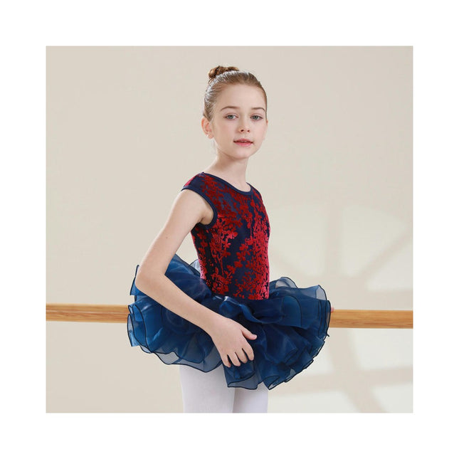 Big Kids Round Neck Jacquard Can Sleeve Dancewear Ballet Performance Costume