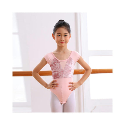 2 Pack Ballet Leotard for Girls Toddler Ballet with Skirt Dance Dress Short Sleeve Tutu