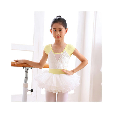 2 Pack Ballet Leotard for Girls Toddler Ballet with Skirt Dance Dress Short Sleeve Tutu