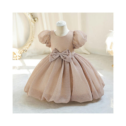 Baby Girls Dress Princess Dress Special Occasion Formal Gowns  Pageant Wedding Party Dresses