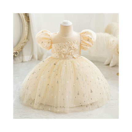 Baby Girl Embroidered Floral Princess Dress Bubble Sleeve Gowns Glitter Sequin Dresses