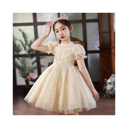 Girls Puff Sleeve Dress Princess Dress Flower Girl Party Sequined Mesh Dance Dress