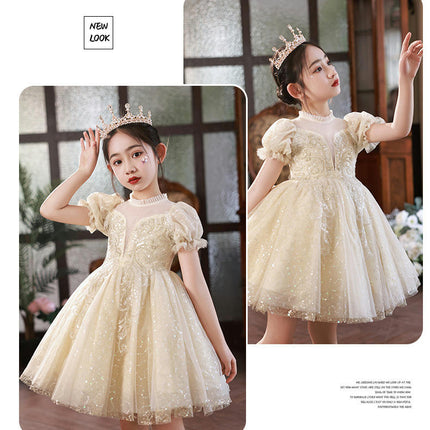 Girls Puff Sleeve Dress Princess Dress Flower Girl Party Sequined Mesh Dance Dress