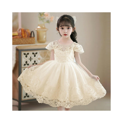 Embroidered Princess Dress Girls Performance Flower Girl Party Prom Dress