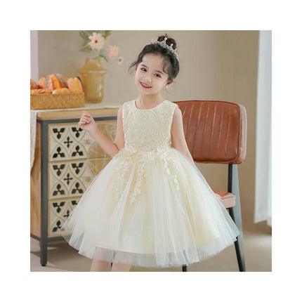 Flower Girl Lace Bridesmaid Dresses Children Wedding Party Birthday Flower Embroidery Tulle Skirt