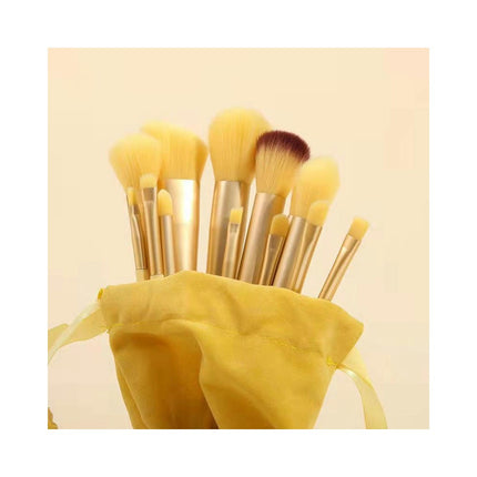 Makeup Brushes 13 Pcs Makeup Kit,Foundation Brush Eyeshadow Brush Make up Brushes Set