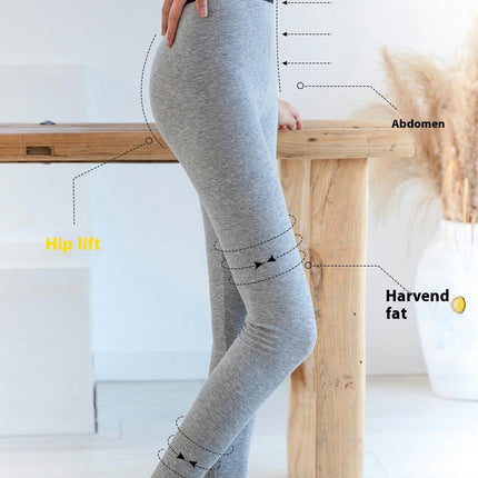 Winter Imitation Sheep Fleece Lined Leggings for Women,High Waist Stretchy Thick Cashmere Warm Leggings