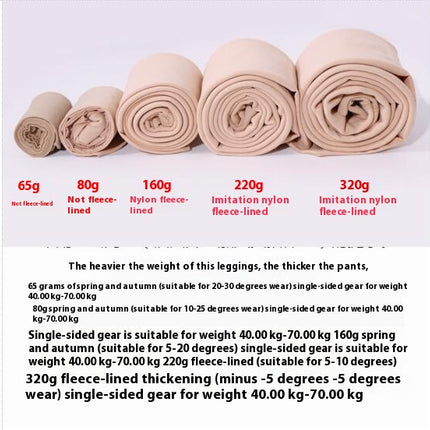 Women's Autumn and Winter Wool Lined Leggings Nylon Warm Pantyhose Leggings