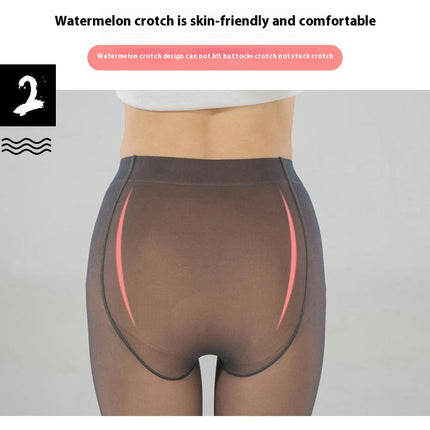 Women's Winter Tights Fleece Lined Pantyhose Warm Tights Thicken Fake Translucent Tights