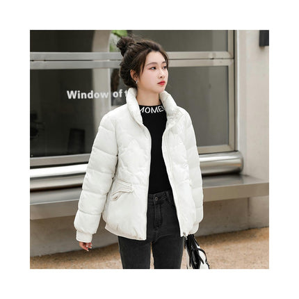 Women's Winter Long Sleeve Down Coat Zip Up Baggy Cropped Puffer Jacket