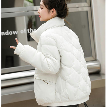 Women's Winter Long Sleeve Down Coat Zip Up Baggy Cropped Puffer Jacket