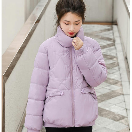 Women's Winter Long Sleeve Down Coat Zip Up Baggy Cropped Puffer Jacket