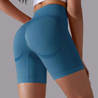 6641 shorts-ink blue