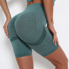 6205 shorts-green