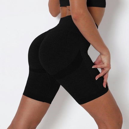 Seamless High Waisted Shorts for Women Contour Gym Yoga Biker Shorts