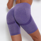 6205 shorts-purple