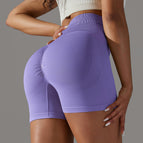 6611 shorts-purple