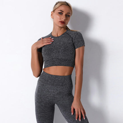 Women's Summer Seamless Yoga Sports Bra and Short Sleeve - High Waist Hip Lifting Pants