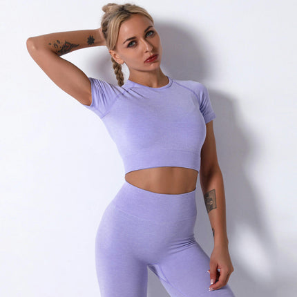 Women's Summer Seamless Yoga Sports Bra and Short Sleeve - High Waist Hip Lifting Pants