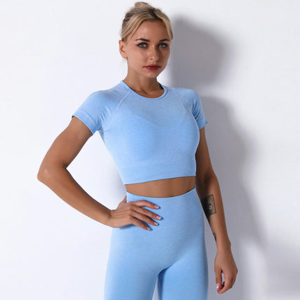 Women's Summer Seamless Yoga Sports Bra and Short Sleeve - High Waist Hip Lifting Pants