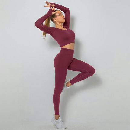 Women Workout Sets 2 Pieces Long Seamless Crop Top High Waist Long Leggings