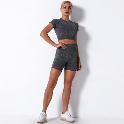 2 Piece Outfits for Women High Waist Shorts Fitted Crewneck T-shirts Workout Sets