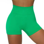 6613 shorts-green