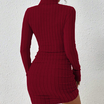 Women's Casual knit Long Sleeve Bodycon Sexy Turtleneck Mini Club Party Dresses