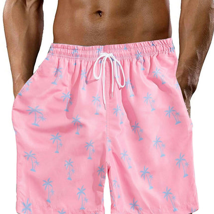 Men's Casual Sports Shorts Beach Pants Outdoor Swim Trunks Quick Dry Shorts with Pockets